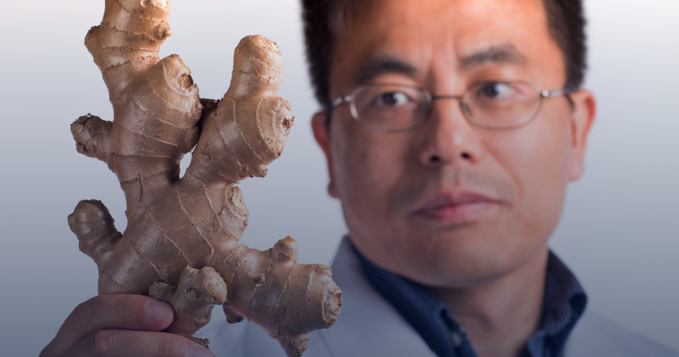 Researcher holds ginger root.