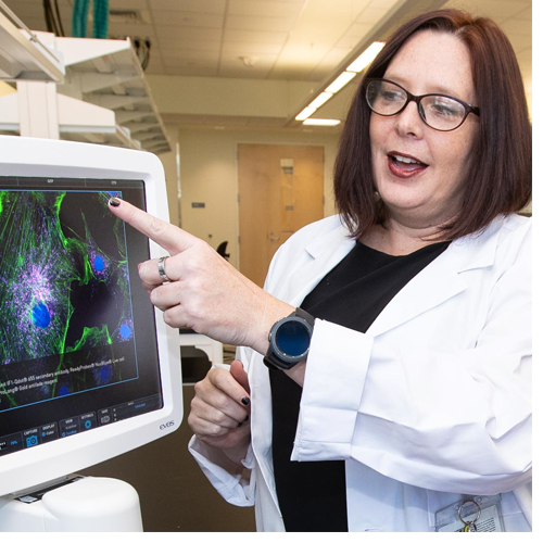 Dr. Shannon Wallet, associate professor in the Department of Foundational Sciences at the ECU School of Dental Medicine, studies the communication of the immune system in her quest to understand diabetes. Along with her own research, she mentors student researchers. (Photos by Rhett Butler)